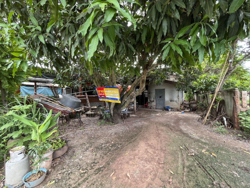 บ้านเดี่ยว บ้านเดี่ยว ชัยภูมิ ชัยภูมิ ภูเขียว ผักปัง 748000