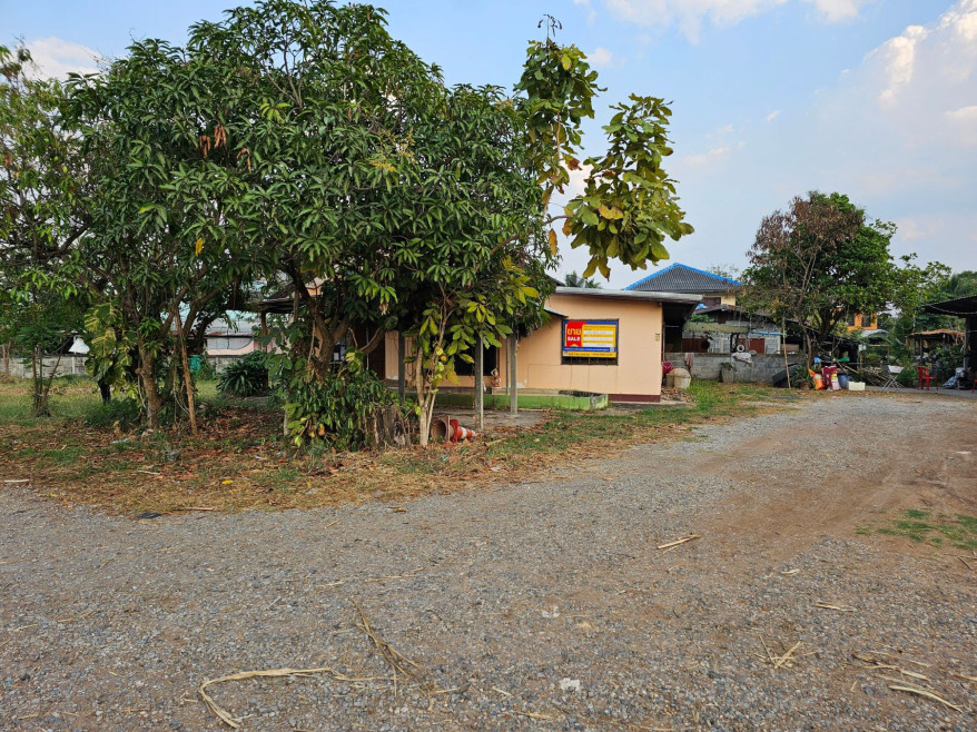 บ้านเดี่ยว บ้านเดี่ยว หนองบัวลำภู หนองบัวลำภู ศรีบุญเรือง นากอก 2587000