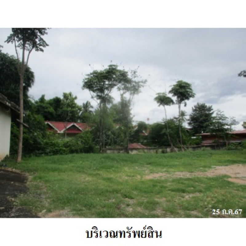 อื่นๆ อุตรดิตถ์ น้ำปาด แสนตอ 12577000