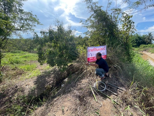Residential land/lot Chiang Mai Mae Wang Don Pao 950000
