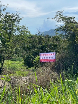 Residential land/lot Chiang Mai Mae Wang Don Pao 950000
