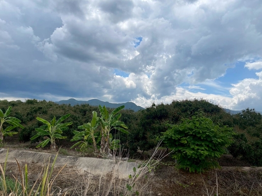 Residential land/lot Chiang Mai Mae Wang Don Pao 950000