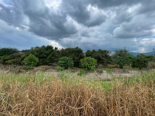 Residential land/lot Chiang Mai Mae Wang Don Pao 950000