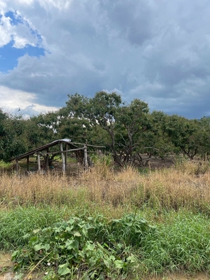 Residential land/lot Chiang Mai Mae Wang Don Pao 950000