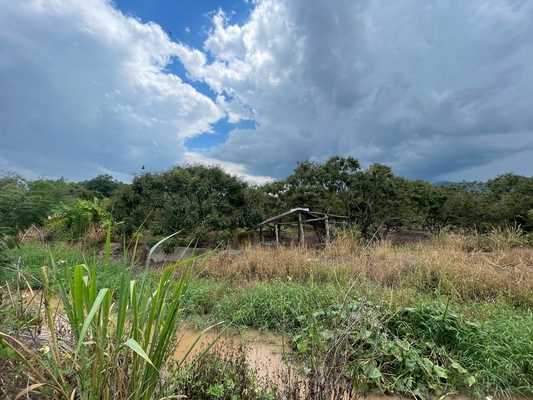 Residential land/lot Chiang Mai Mae Wang Don Pao 950000