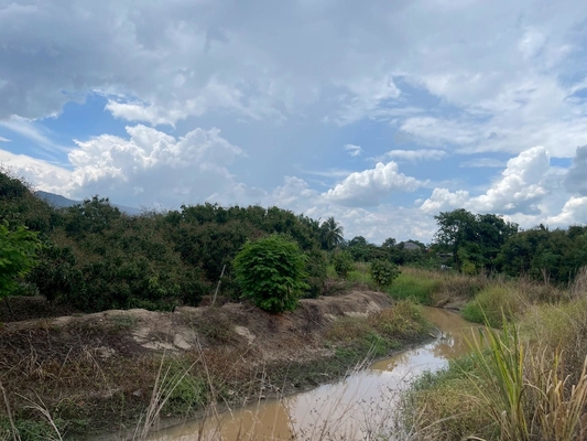 Residential land/lot Chiang Mai Mae Wang Don Pao 950000
