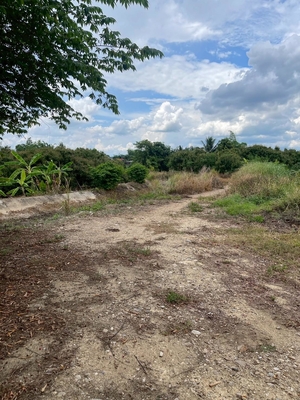 Residential land/lot Chiang Mai Mae Wang Don Pao 950000