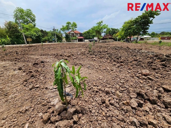 Residential land/lot Nonthaburi Mueang Nonthaburi Sai Ma 20230000