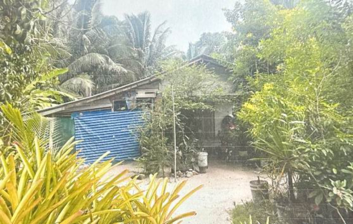 บ้านเดี่ยว นครศรีธรรมราช ท่าศาลา โพธิ์ทอง 815784