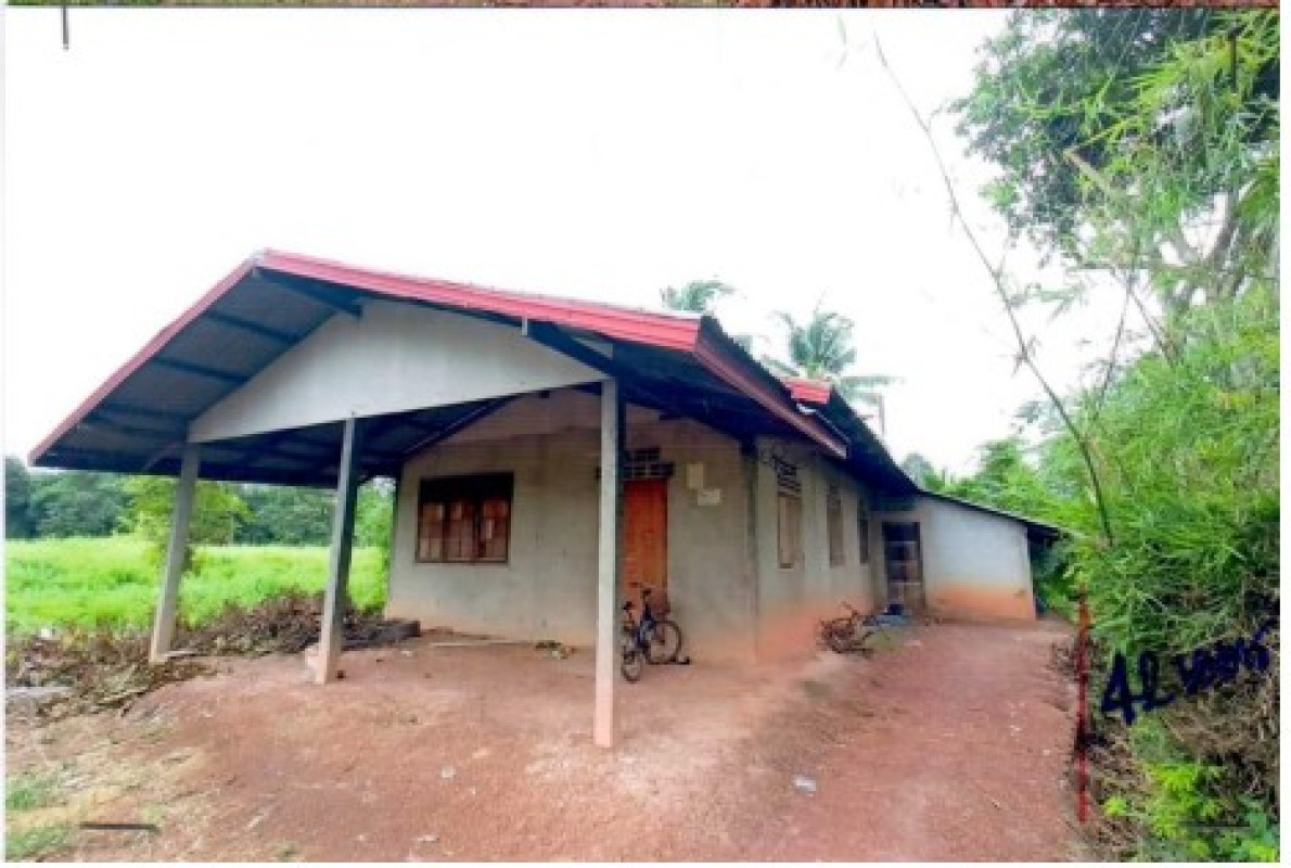 บ้านเดี่ยว อุดรธานี บ้านผือ เขือน้ำ 311985