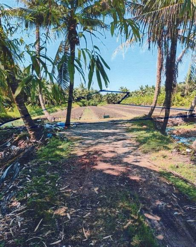 Residential land/lot Ratchaburi Wat Phleng Ko San Phra 733260
