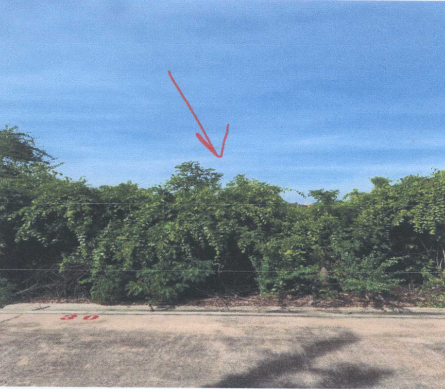 Residential land/lot Chachoengsao Bang Pakong Bang Kluea 346500