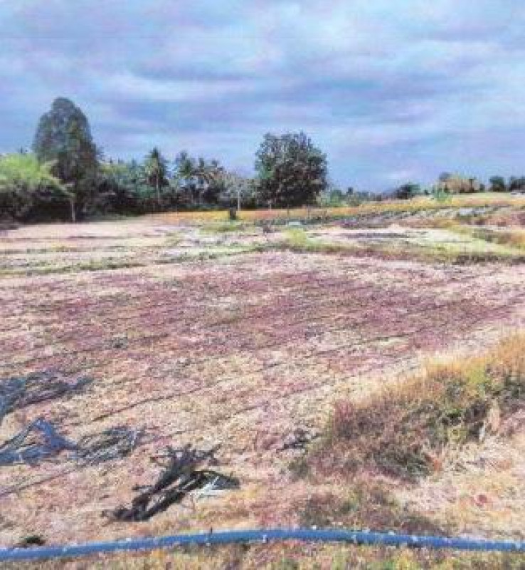 Residential land/lot Loei Chiang Khan Khao Kaeo 1291268