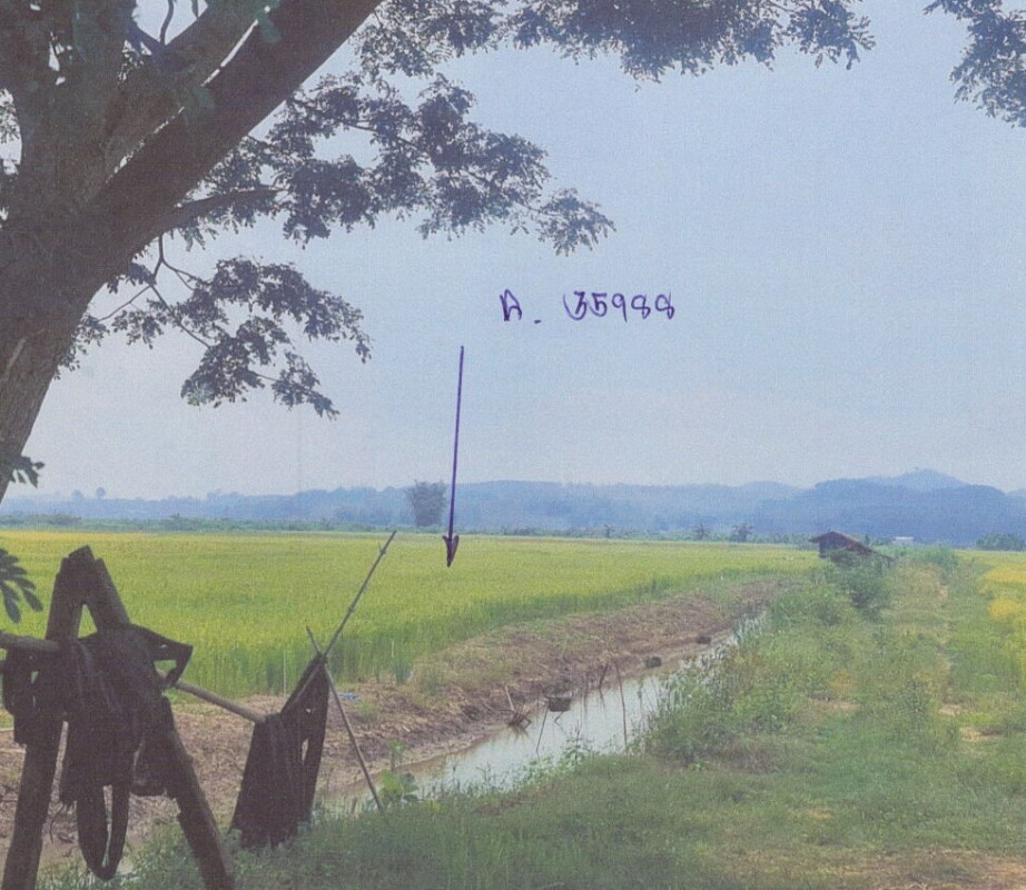 ที่ดินเปล่า เชียงราย แม่จัน ท่าข้าวเปลือก 258525