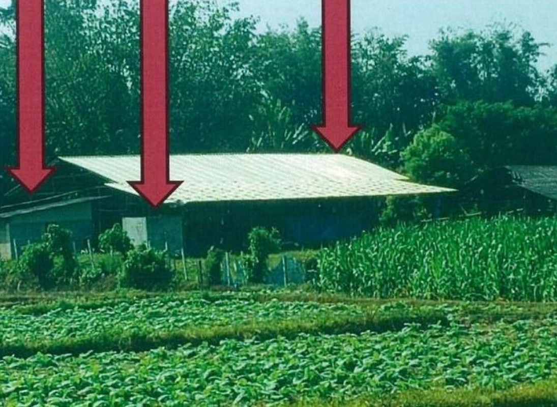 บ้านเดี่ยว เชียงราย แม่ลาว จอมหมอกแก้ว 772820