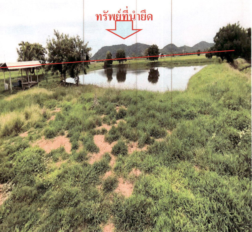 ที่ดินเปล่า สุพรรณบุรี เดิมบางนางบวช เขาพระ 706000