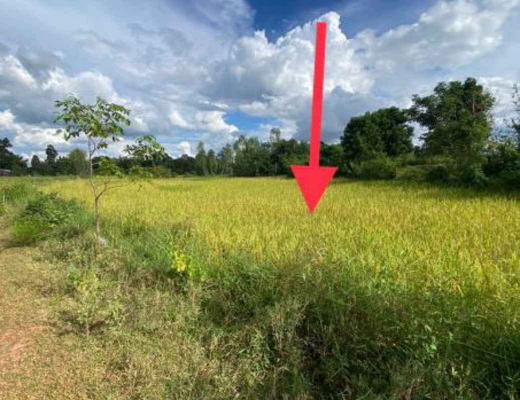 ที่ดินเปล่า อุดรธานี กุมภวาปี แชแล 525600