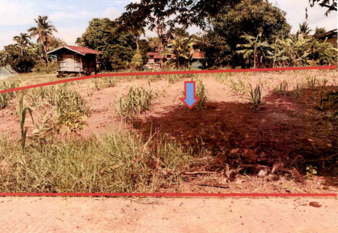 Residential land/lot Buri Ram Nong Ki Mueang Phai 83250