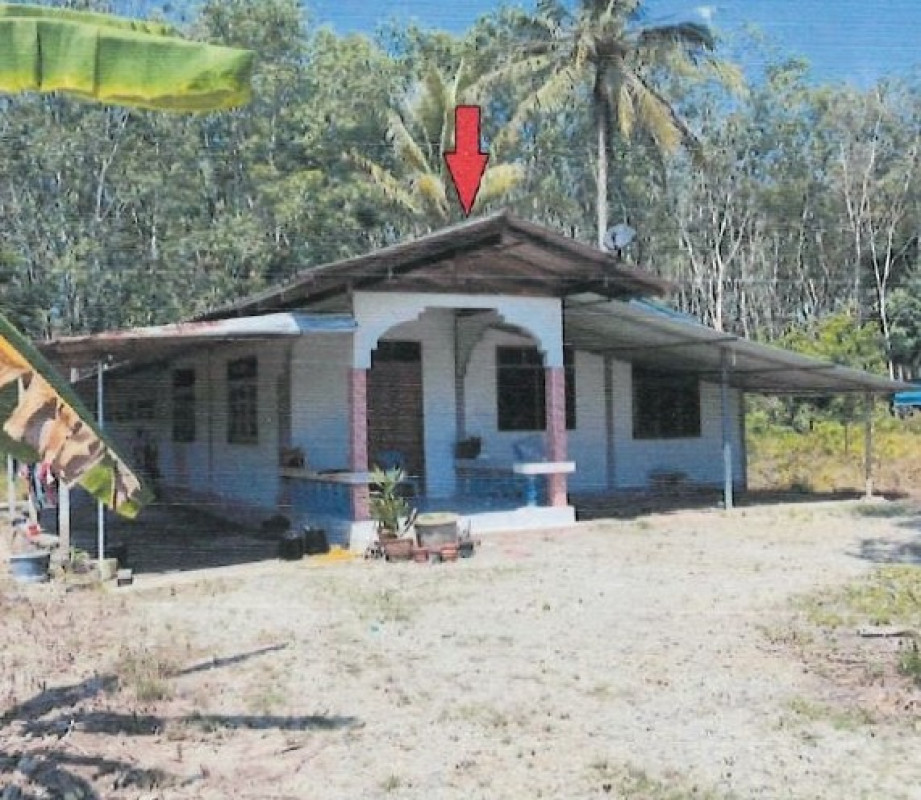 บ้านเดี่ยว สุราษฎร์ธานี บ้านนาสาร ทุ่งเตาใหม่ 932670