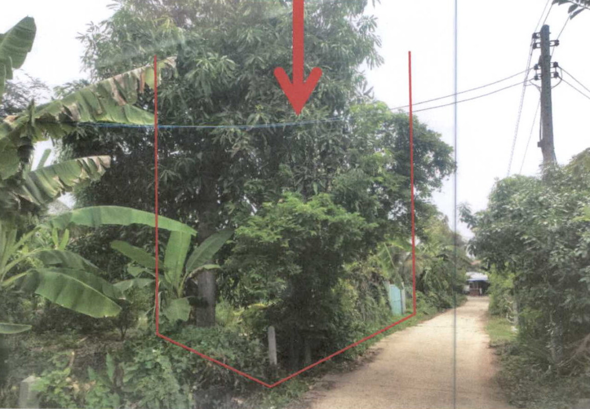 ที่ดินเปล่า บุรีรัมย์ ละหานทราย ตาจง 552200