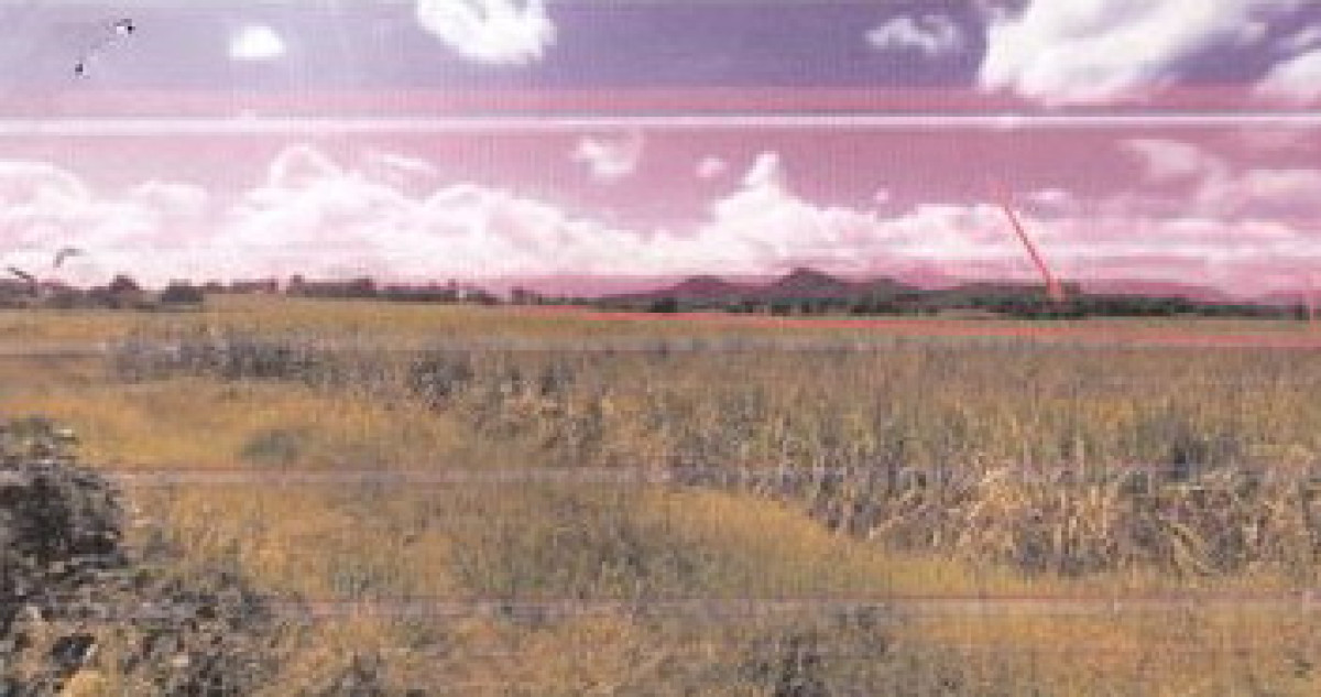 Residential land/lot Loei Wang Saphung Pha Bing 185800