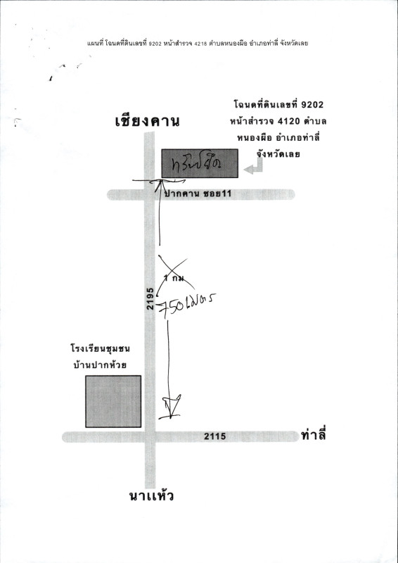 บ้านเดี่ยว เลย ท่าลี่ หนองผือ 1425720