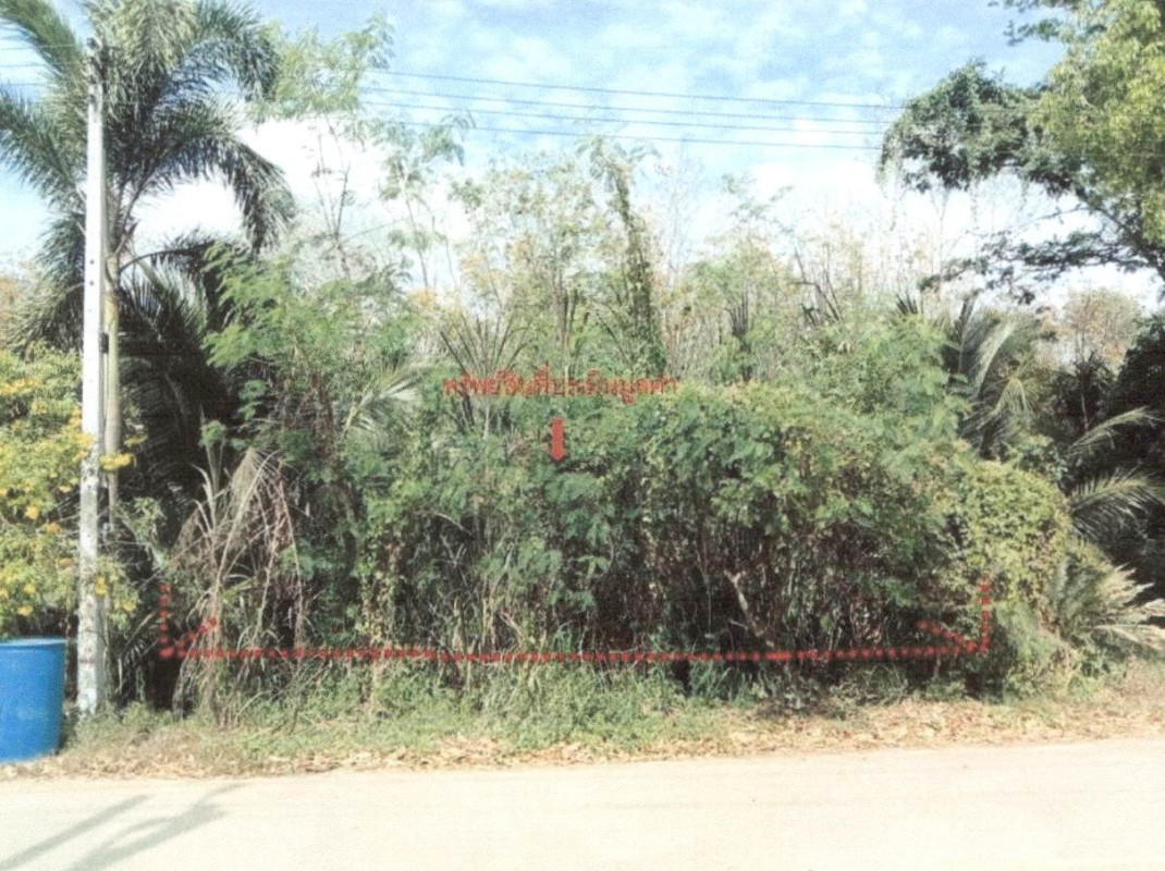 Residential land/lot Krabi Ko Lanta Khlong Yang 528000