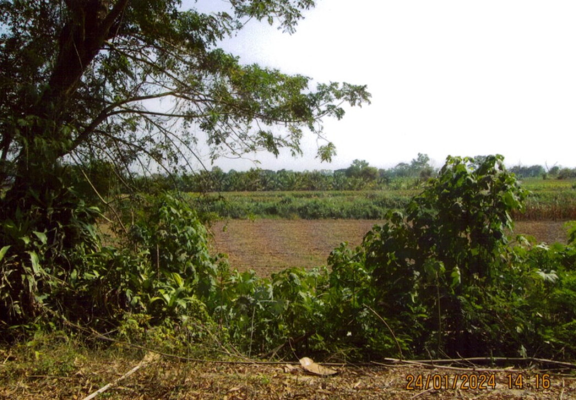 Residential land/lot Chiang Rai Mueang Chiang Rai Rim Kok 808000