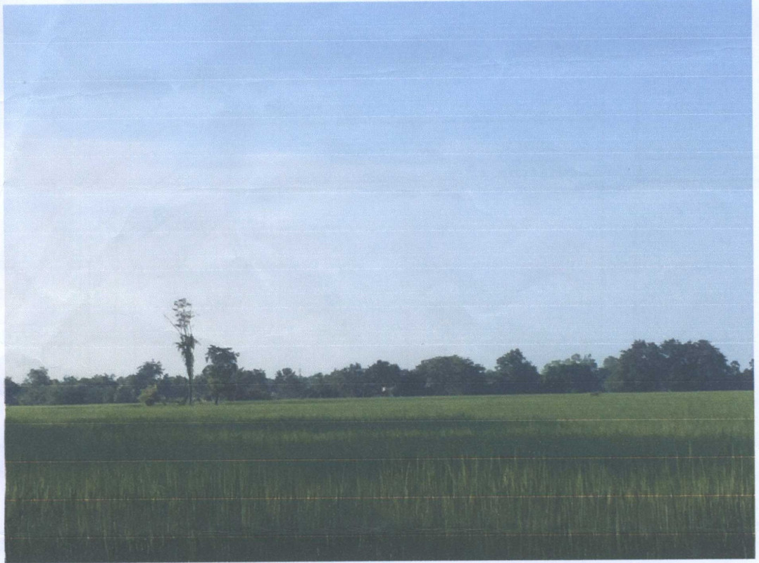 ที่ดินเปล่า พิจิตร บางมูลนาก วังกรด 545100