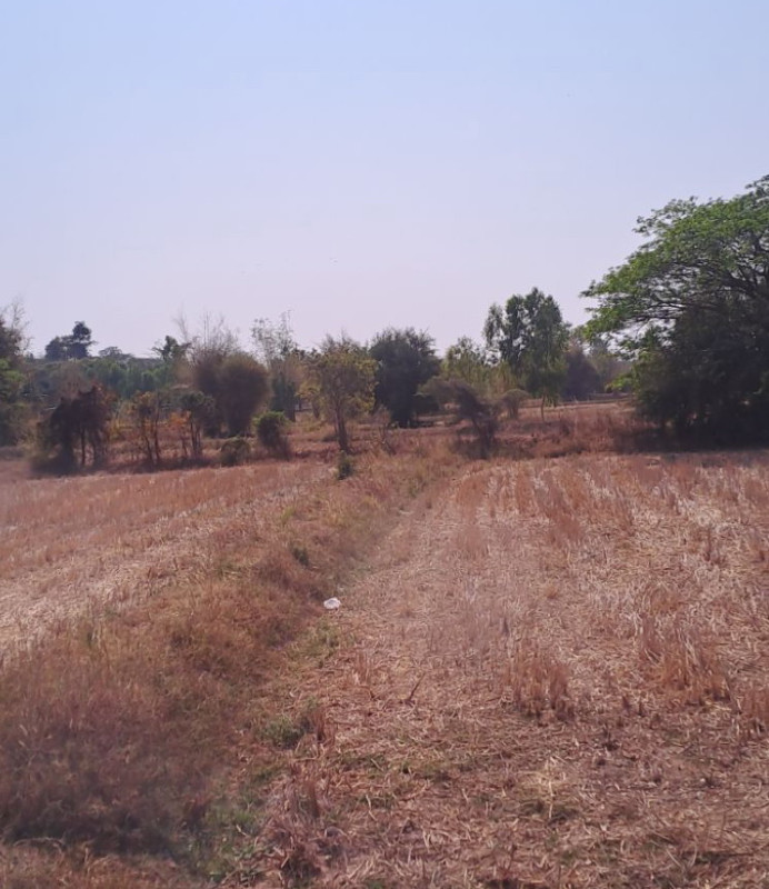 Residential land/lot Maha Sarakham Mueang Maha Sarakham Khok Ko 310750