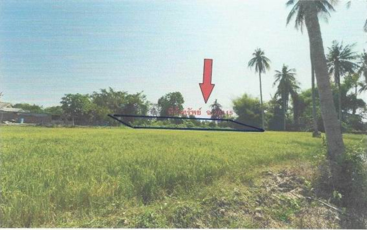 ที่ดินเปล่า กำแพงเพชร คลองขลุง แม่ลาด 33840