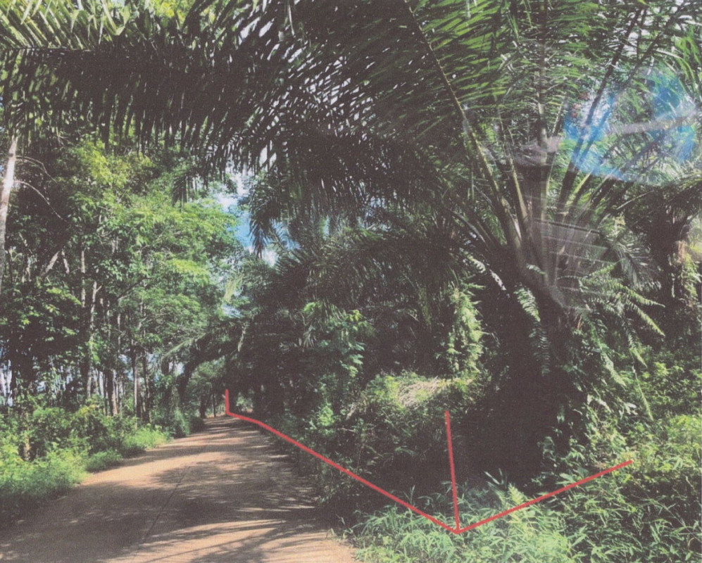 Residential land/lot Krabi Ao Luek Ao Luek Noi 1434160