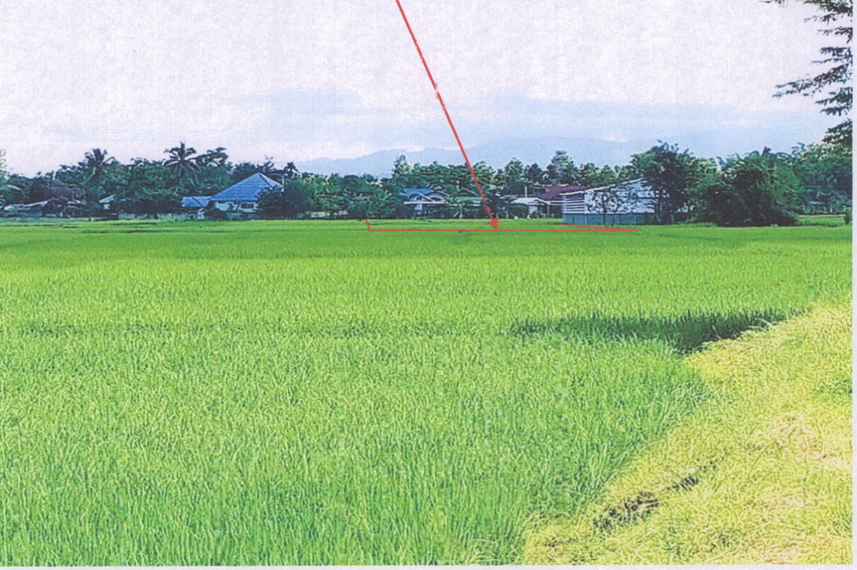 ที่ดินเปล่า เชียงราย เวียงป่าเป้า เวียง 60750