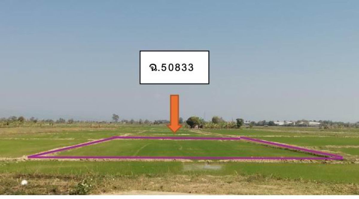 Residential land/lot Chiang Rai Mae Sai Si Mueang Chum 133000
