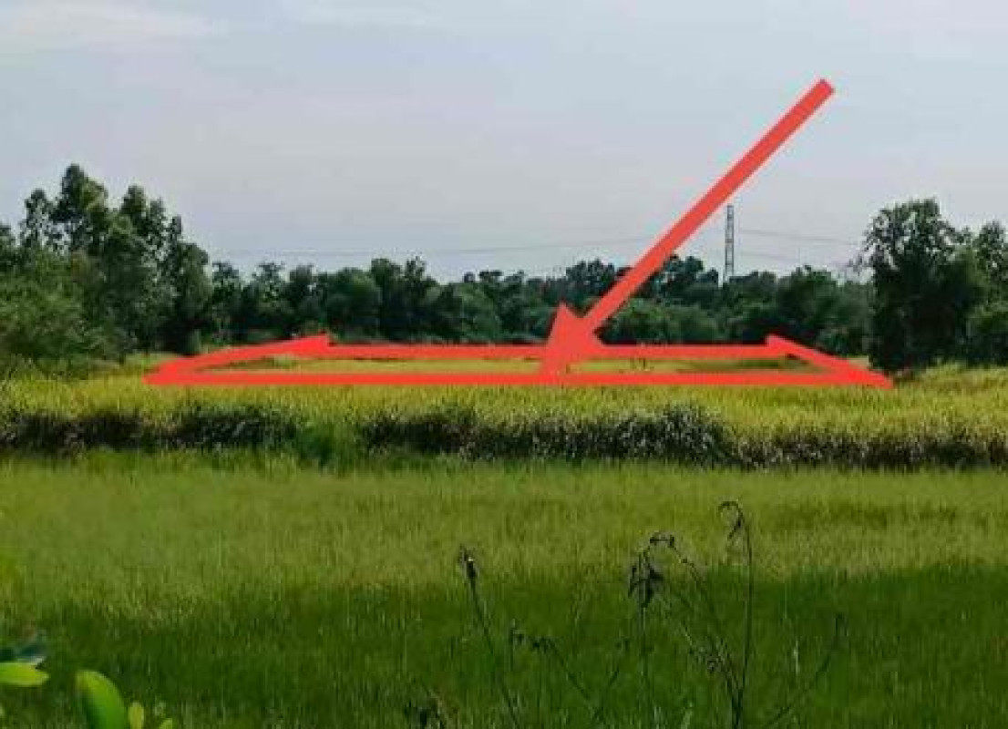 ที่ดินเปล่า ฉะเชิงเทรา ราชสาส์น บางคา 72000