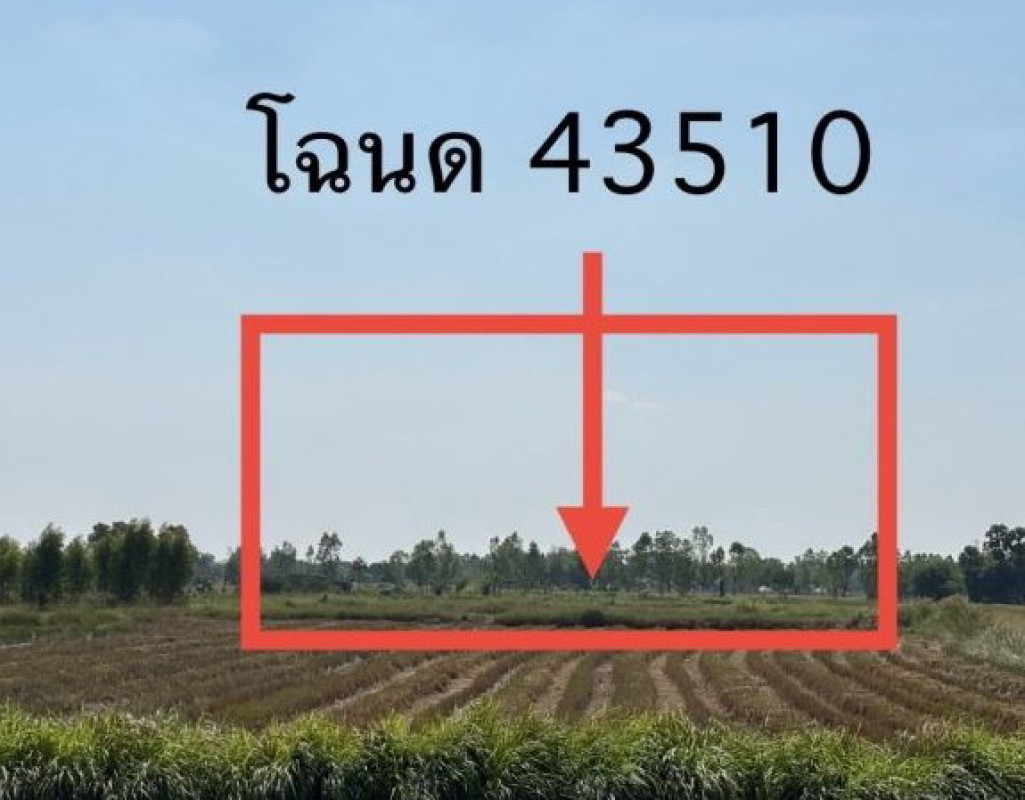 Residential land/lot Udon Thani Kumphawapi Phan Don 1428000