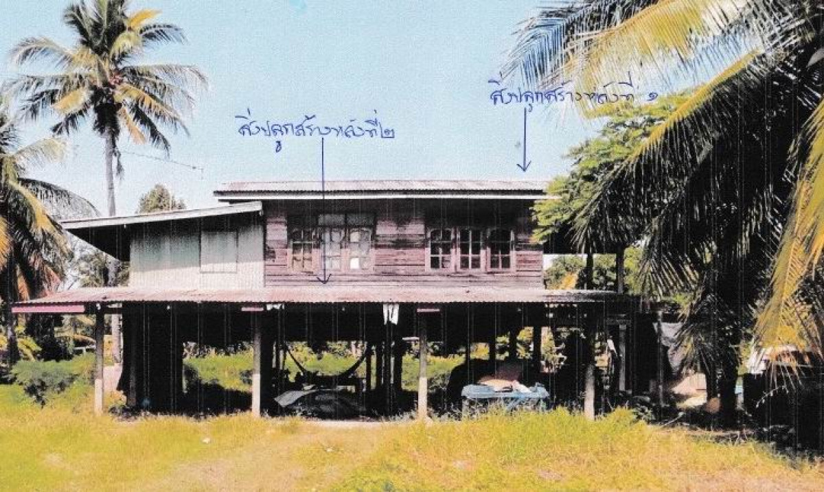 บ้านเดี่ยว พิจิตร บางมูลนาก บางไผ่ 596055