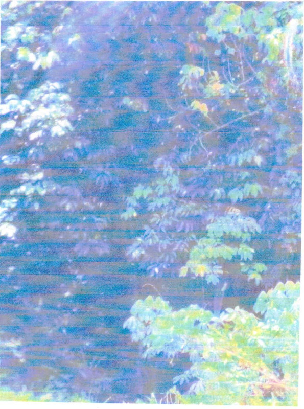 Residential land/lot Pattani Yarang Wat 35160