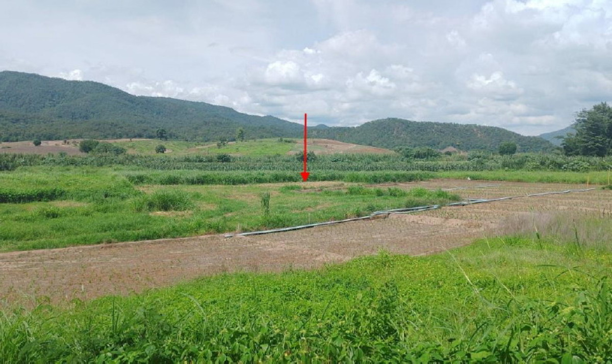 ที่ดินเปล่า แม่ฮ่องสอน ปาย เมืองแปง 22500
