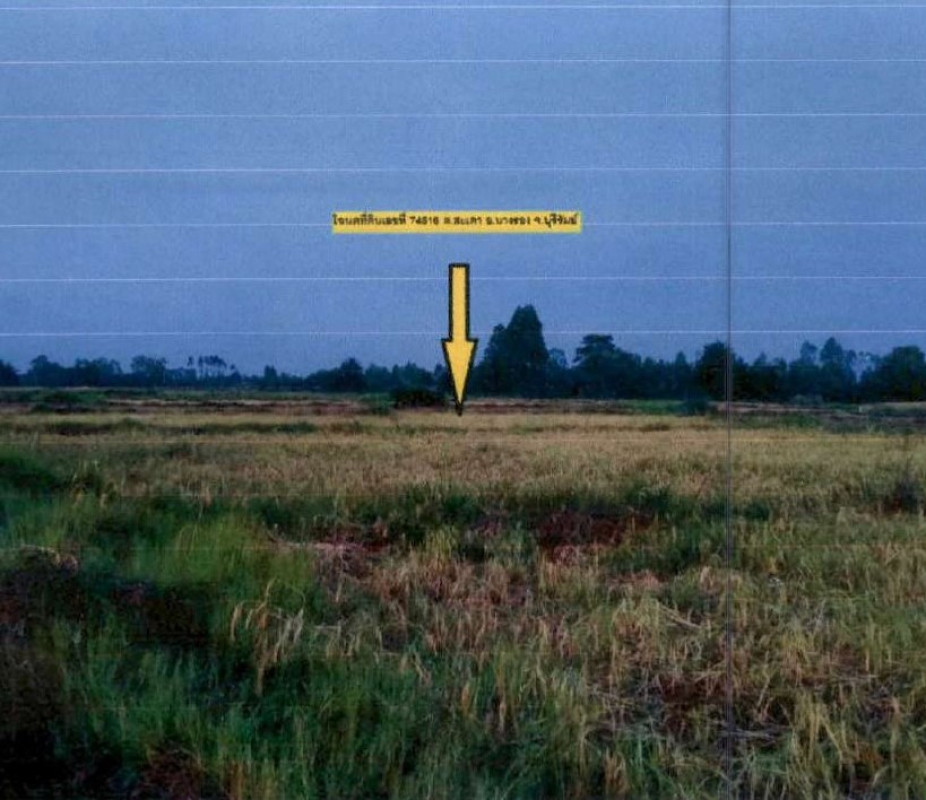 Residential land/lot Buri Ram Nang Rong Sadao 478800