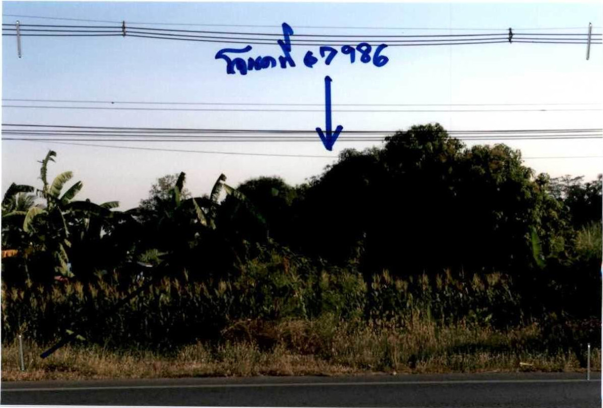Residential land/lot Suphan Buri Doem Bang Nang Buat Bo Kru 99000