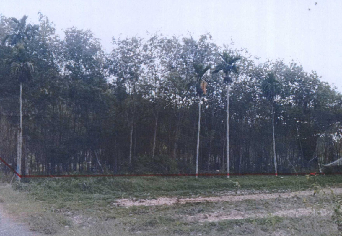 Residential land/lot Satun Khuan Don Khuan Sato 198139
