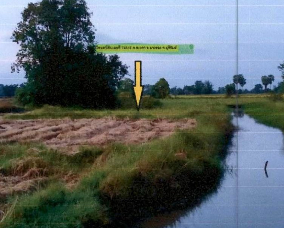 Residential land/lot Buri Ram Nang Rong Nong Sai 29400
