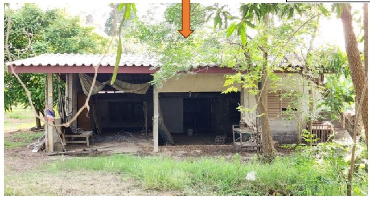 Single house Kamphaeng Phet Bueng Samakkhi Wang Cha-On 839700