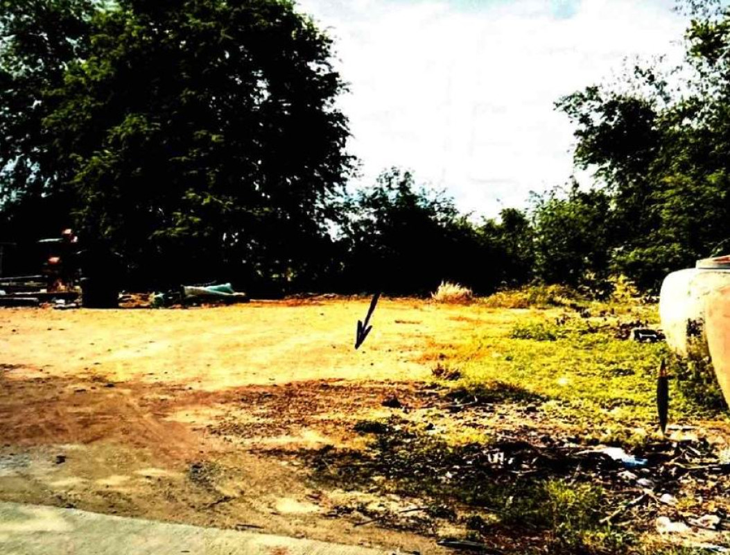 ที่ดินเปล่า สุพรรณบุรี เดิมบางนางบวช หัวเขา 29750