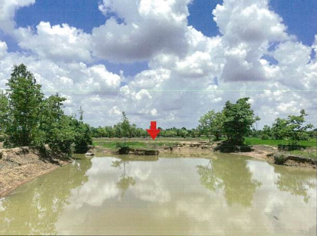 ที่ดินเปล่า มหาสารคาม โกสุมพิสัย โพนงาม 797420