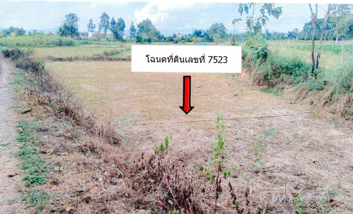 ที่ดินเปล่า น่าน ปัว วรนคร 111493
