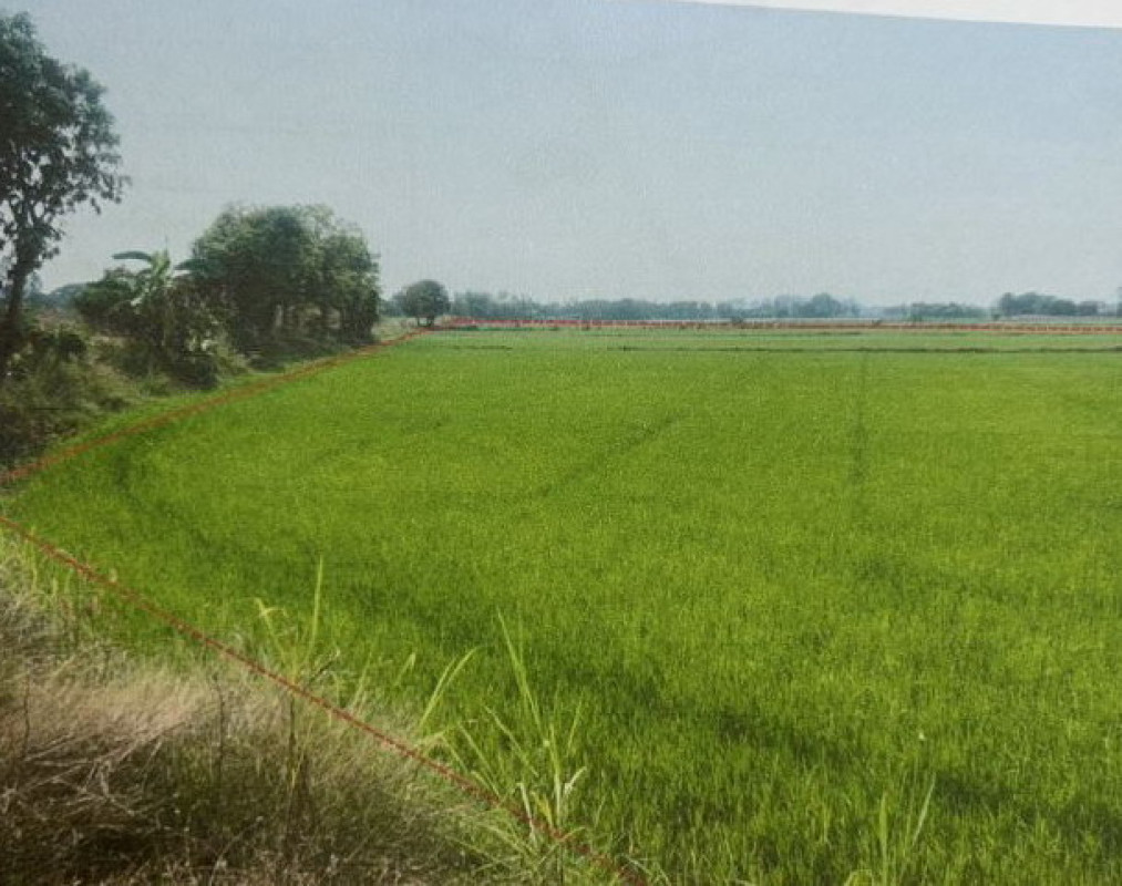 ที่ดินเปล่า สิงห์บุรี เมืองสิงห์บุรี บางมัญ 675360