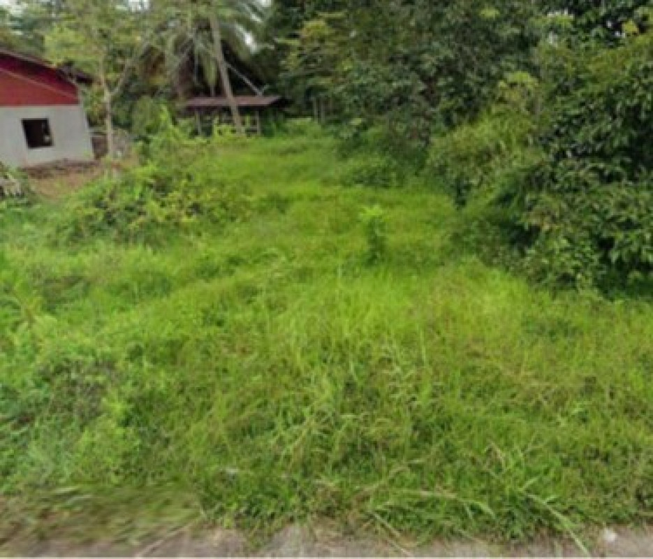 ที่ดินเปล่า สตูล ควนกาหลง ทุ่งนุ้ย 50540