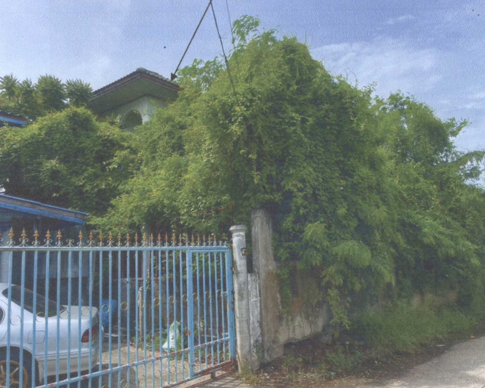 ที่ดินเปล่า นนทบุรี บางบัวทอง บางรักพัฒนา 2860400